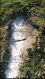 Samual Fowler McCraney